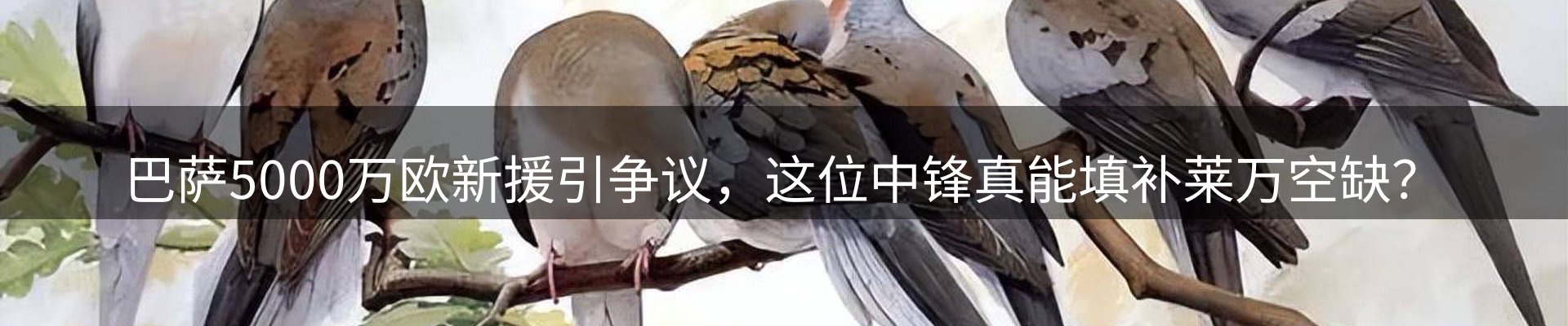 平台资讯